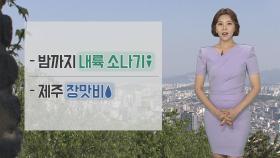 [날씨] 내일도 30도 안팎 무더위…구름 많고 곳곳 비