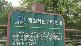 정부, 그린벨트 해제도 '고심'…서울시는 '반대'