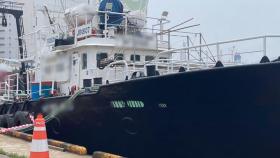 신규 확진 33명…부산 감천항 선박 관련 5명 감염
