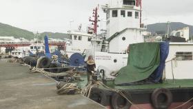 태풍 '장미' 접근에 피항한 선박들…분주한 부산