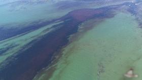 검게 변한 천상의 섬…모리셔스, 기름 유출 비상