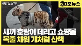 [30초뉴스] 쇼핑몰에 멸종위기 벵골 호랑이 목줄 차고 산책