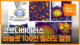 [자막뉴스] 코로나 바이러스 바늘로 100번 찌르고 열 가해도 멀쩡