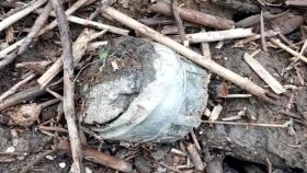 한강변 공원서 지뢰 발견…군 폭발물처리반 수거