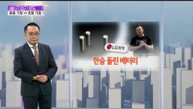 [기업기상도] 미래차로 맑은 기업 vs 발목 잡혀 흐린 기업