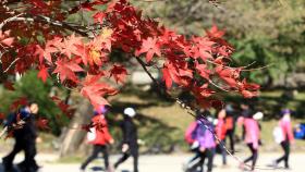 가을 단풍방역 '고비'…외국선박 상륙허가 제한