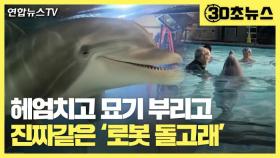 [30초뉴스] 헤엄치고 묘기 부리고 진짜인줄! '로봇 돌고래' 화제