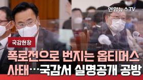 [국감현장] 폭로전으로 번지는 옵티머스 사태…국감서 실명공개 공방