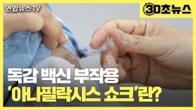 [30초뉴스] 잇단 독감백신 접종 사망…'아나필락시스 쇼크' 주목