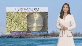 [날씨] 올가을 가장 강한 추위…서울 첫서리·첫얼음 관측