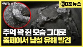 [30초뉴스] 폼페이 화산재에 파묻힌 2천년전 유해 2구 발견…주먹 꽉 쥔 채