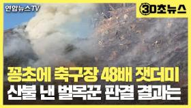 [30초뉴스] '휙∼' 꽁초에 축구장 48배 잿더미…산불 낸 벌목꾼 집유 2년