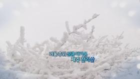 [영상구성] 제주 한라산 첫 눈