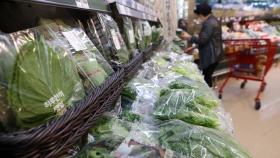 소비자물가 상승률 두 달째 0%대…농산물·집세 급등