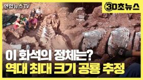 [30초뉴스] 이 화석의 정체는?…역대 최대 크기 공룡 추정