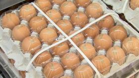 오늘부터 수입 계란 무관세…대형마트 