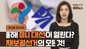 [세로뉴스] 올해 '미니대선'이 열린다고? 2021 재보궐선거의 모든 것