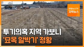 [자막뉴스] LH직원 투기의혹 지역 가보니…보상금 염두 '나무심기' 정황