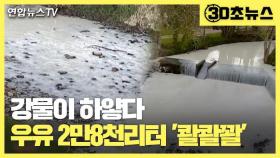 [30초뉴스] 강물이 하얗다…우유 2만8천리터 '콸콸콸'