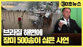 [30초뉴스] 해변에 장미 500송이…코로나 '무대책' 대통령 비판