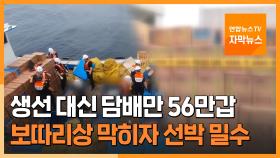 [자막뉴스] 생선 대신 담배만 56만갑…보따리상 막히자 선박 밀수