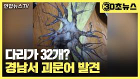 [30초뉴스] 경남 바다서 다리 32개 '괴문어' 발견…어민들 