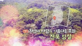 [풍경여지도] 자연과 사람의 아름다운 조화 - 전북 임실 1부