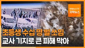 [자막뉴스] 군위 초등생 수십명 벌 쏘임…교사 기지로 큰 피해 막아