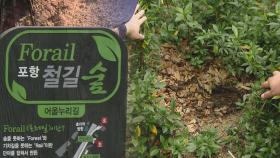 포항 명소 철길숲 꽃·나무 좀도둑에 '몸살'