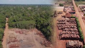 파괴속도 빨라지는 아마존 열대우림…남미 8개국 보호나서