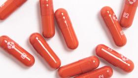 미국 제약사 머크, '먹는 코로나 치료제' 복제약 허용