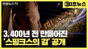 [30초뉴스] 3,400년된 '스핑크스의 길'…70년 복원 거쳐 공개