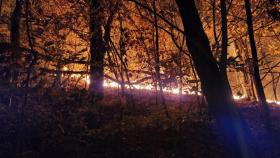 부산서 아파트 인근 산불…2시간반 만에 큰불 잡혀