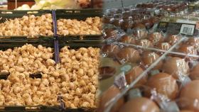 마늘 수입 늘리고 계란 경매…옥수수 할당관세 연장