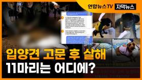 [자막뉴스] 입양견 8마리 고문 후 죽인 40대 영장 기각…11마리는 행방 묘연