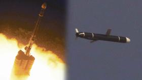 북한, 순항미사일 2발 발사…