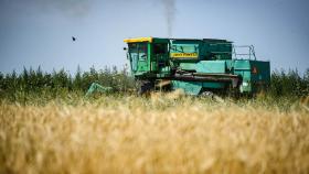 3분기 수입곡물단가 13.4%↑ 전망…밥상물가 비상