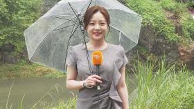 [날씨] 무더위 계속…서울 폭염경보, 내륙 곳곳 소나기