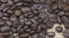 커피 생두 유통가격 하락…부가세 면제·할당관세 효과