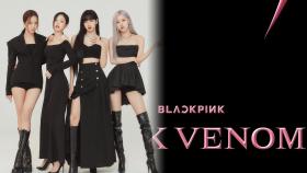 블랙핑크 '핑크 베놈', 아이튠즈 69개국 1위