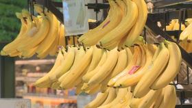 수입과일 가격도 오른다…바나나 도매 한달새 10%↑