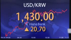 환율 13년여 만에 1,430원도 뚫려…증시도 폭락