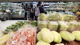11월 소비자물가 5.0% 상승…오름폭 축소