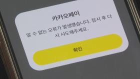 카카오 피해 10만여 건…무료서비스 금전피해 15%