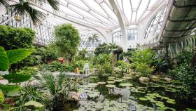 휴일 추위 피해 실내로…열대식물원 찾는 시민들