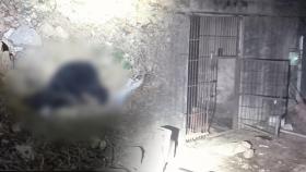 곰 3마리 탈출…농장 주인 부부 숨진 채 발견