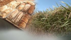 밀 대체 가루쌀 육성 나선 정부…걸림돌은 '가격·식감'