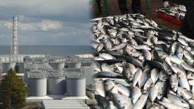 후쿠시마 오염수 방류 임박…수산물 안전 우려 여전