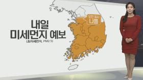 [생활날씨] 내일 오전까지 미세먼지…밤부터 곳곳 눈,비