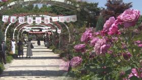 도심 속 공원에 장미 향연…형형색색 꽃 나들이